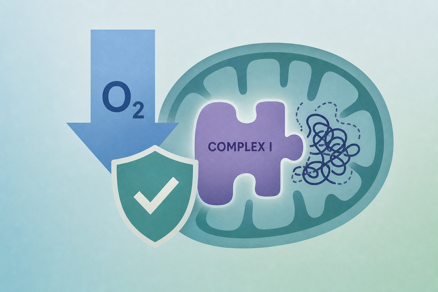 Hypoxia rescues complex 1-associated disease caused by proteostatic defects