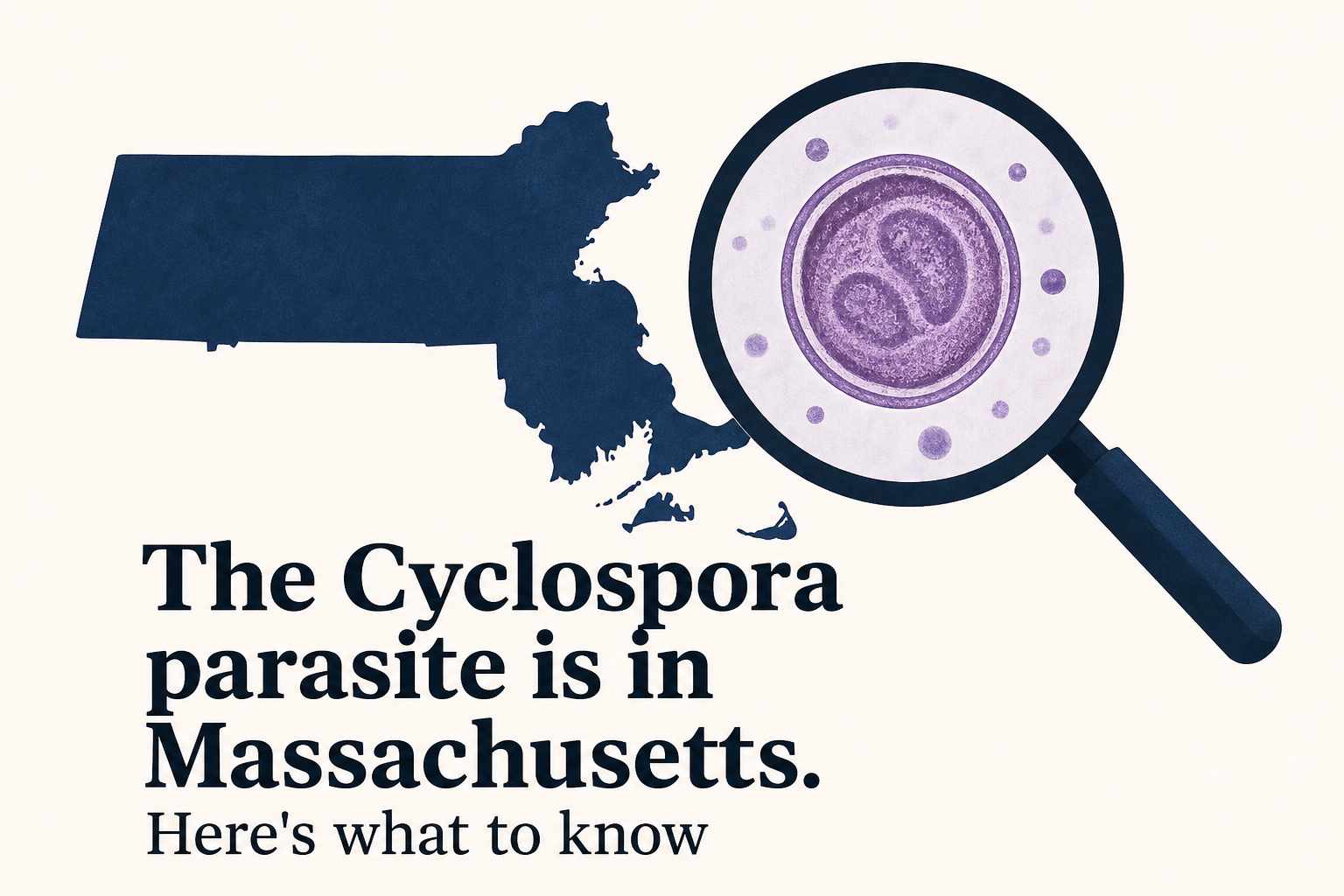 The Cyclospora parasite is in Massachusetts. Here's what to know