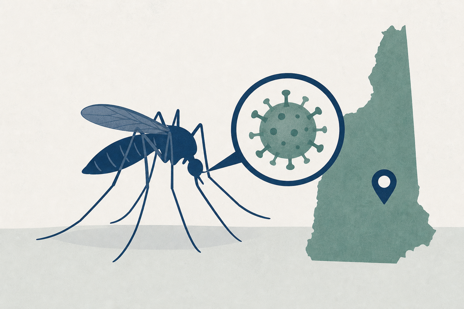 Jamestown Canyon virus found in mosquitoes in NH