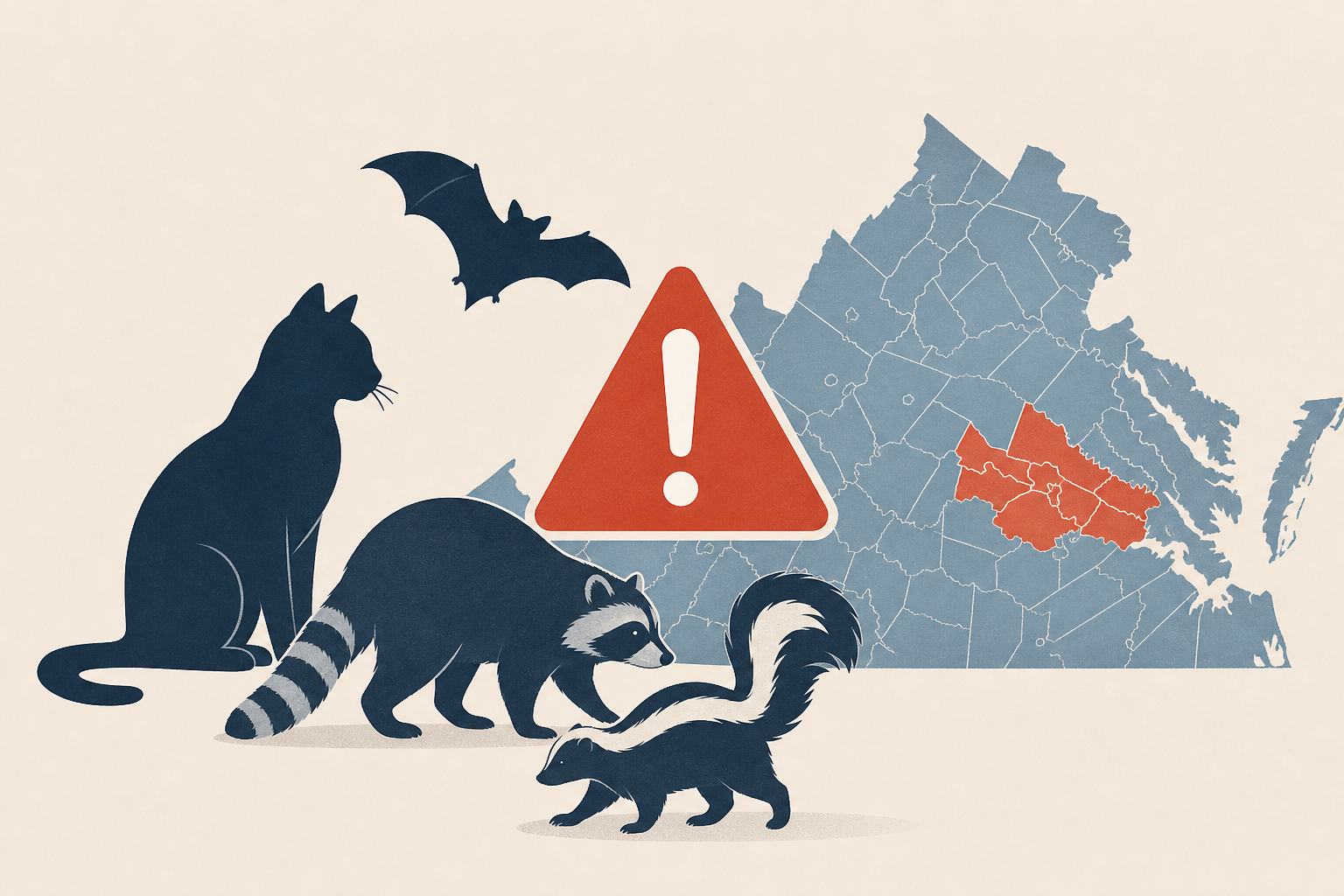 Rabid cat, bat, raccoons and skunks reported in these 4 Virginia counties
