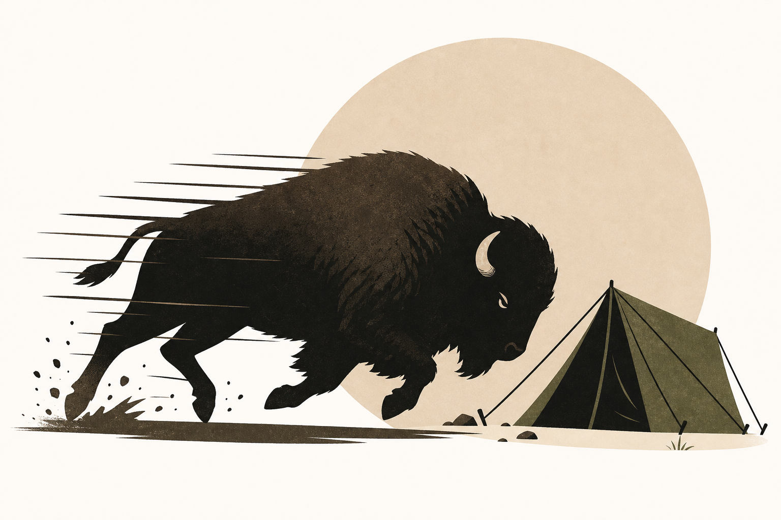 In Terrifying Seconds, a Bison Charges Campers at Yellowstone