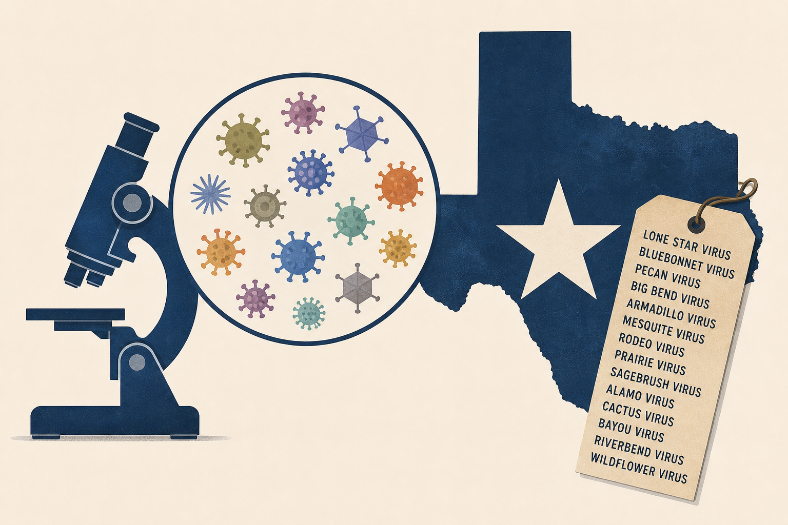 U.S. Navy microbiologist discovers 14 new viruses and gives them Texas names