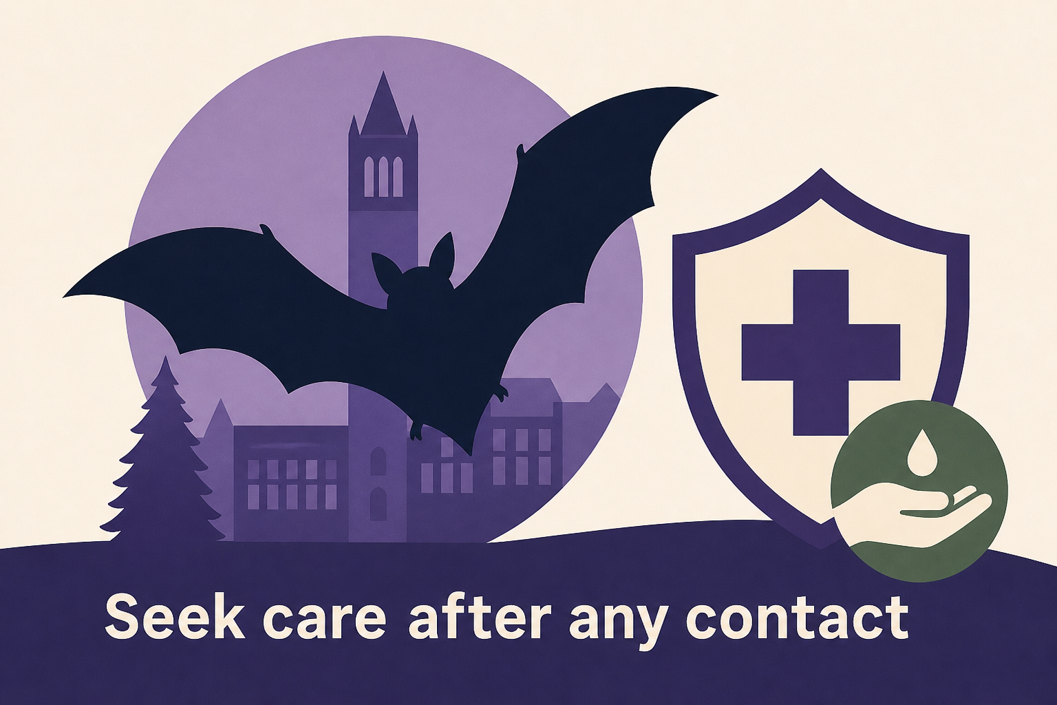 Rabid bat found near UW campus in Seattle ; public urged to seek care after any contact