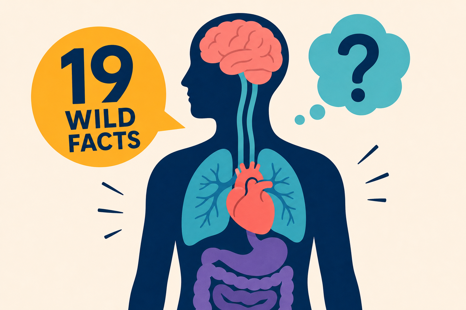 19 Wild Human Body Facts That Genuinely Blew Medical Students' Minds