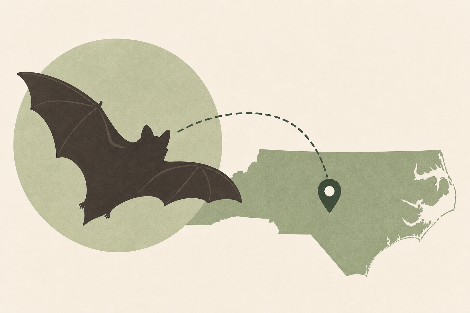 Endangered Indiana bat captured in NC for first time since 2015