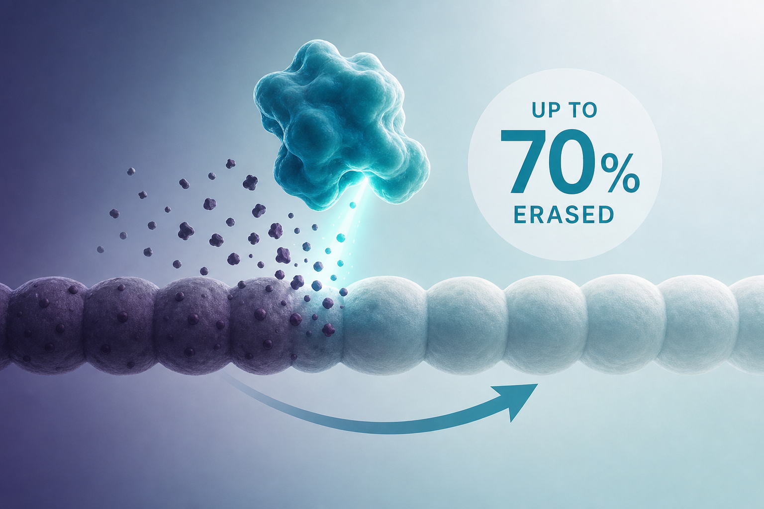 Engineered enzyme erases a stubborn mark of aging by up to 70% in human tissue samples