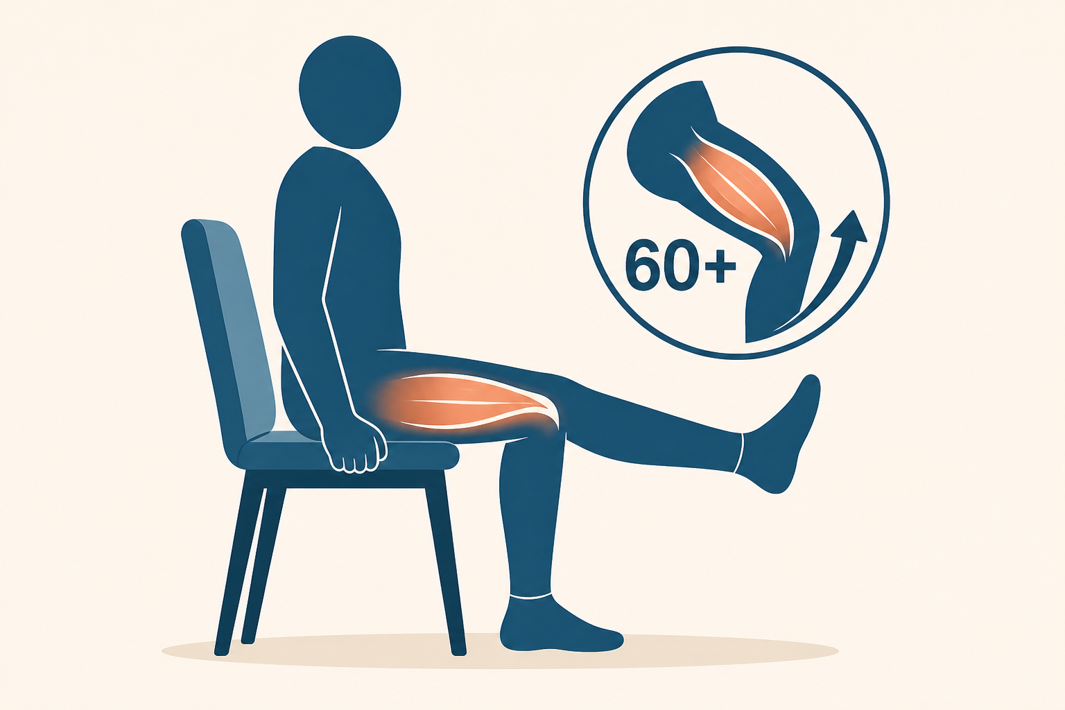 Chair Exercises to Restore Thigh Muscle After 60