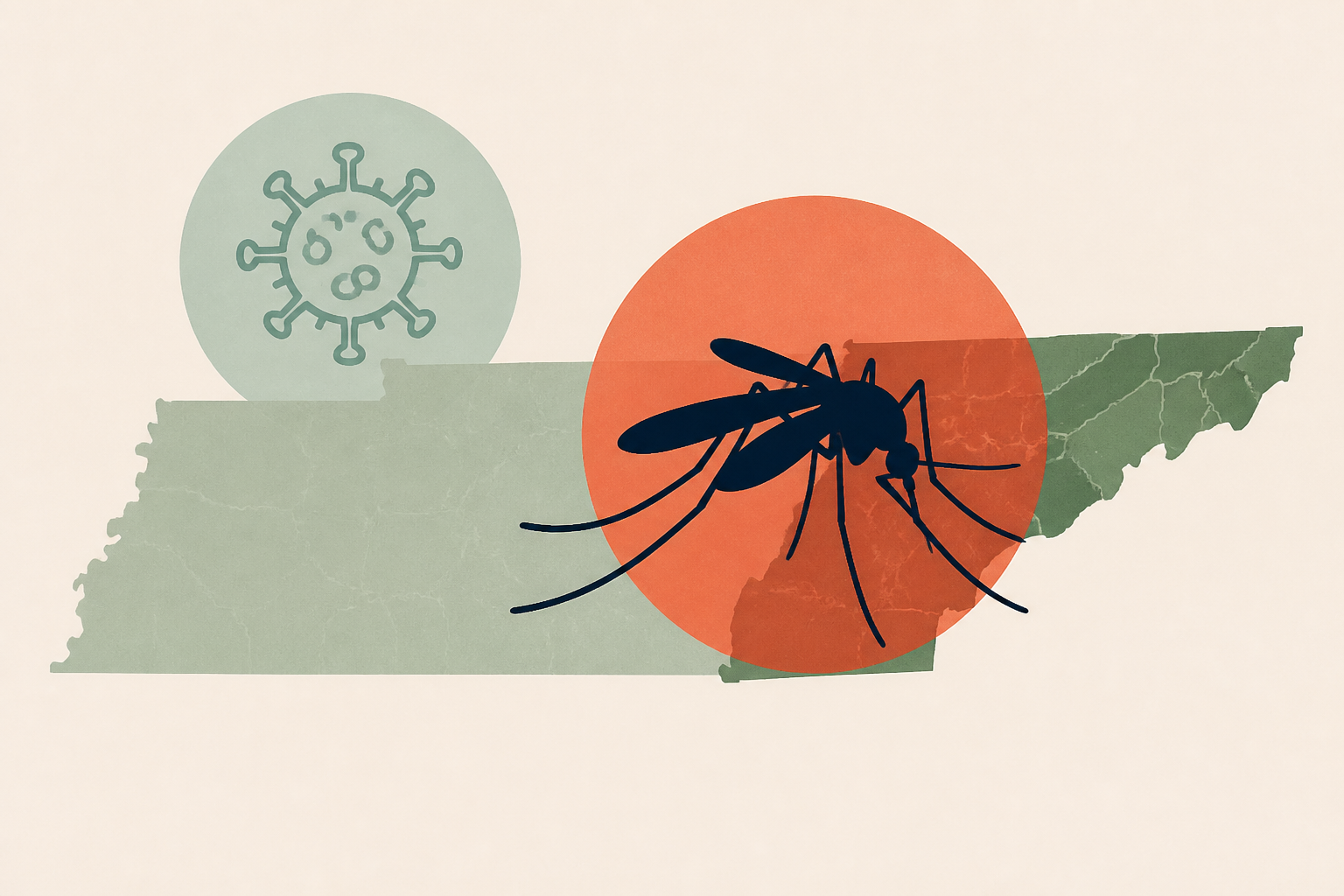 Rare mosquito-borne virus confirmed in East Tennessee