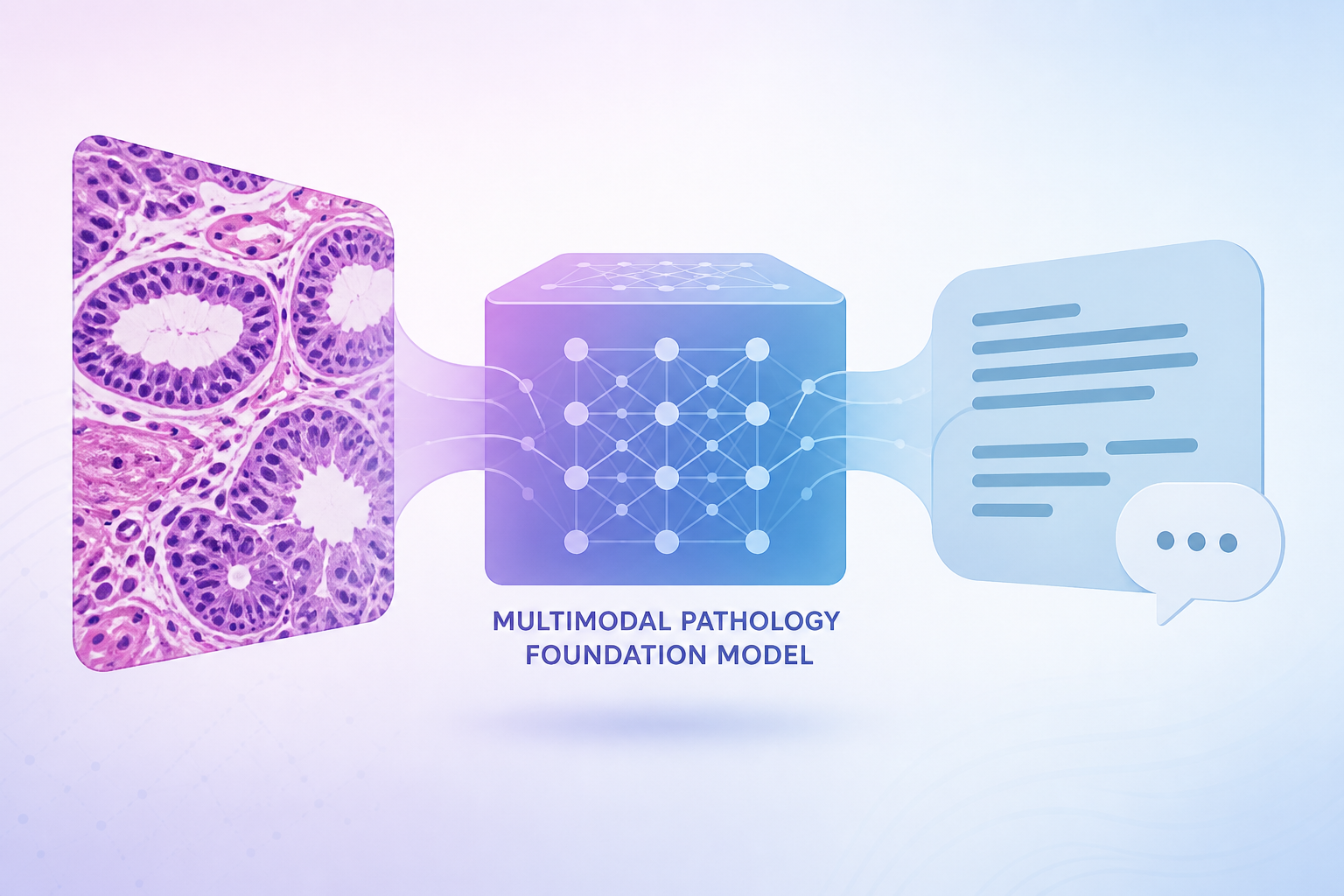 End-to-end multimodal pathology foundation model with clinical dialogue