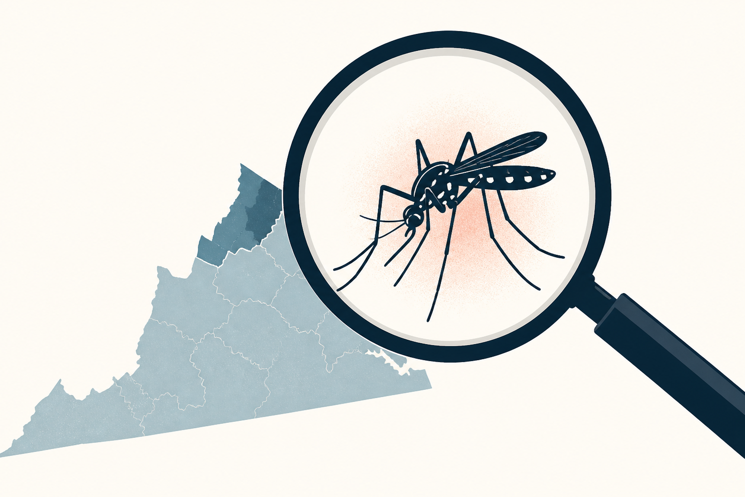 VDH investigating dengue virus in Northern Virginia, first-ever documented case of virus being acquired locally