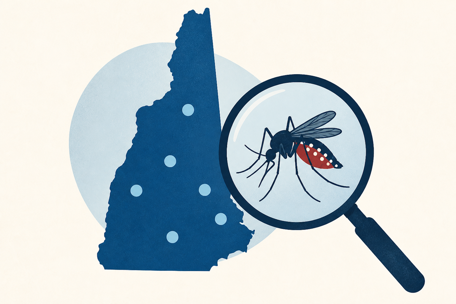 Infected mosquitos found in six New Hampshire communities.