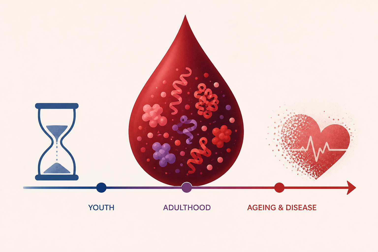 Temporal dynamics of the human blood proteome in ageing and disease