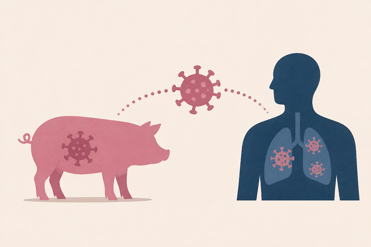 'Several people' report illness after exposure to pigs with swine flu