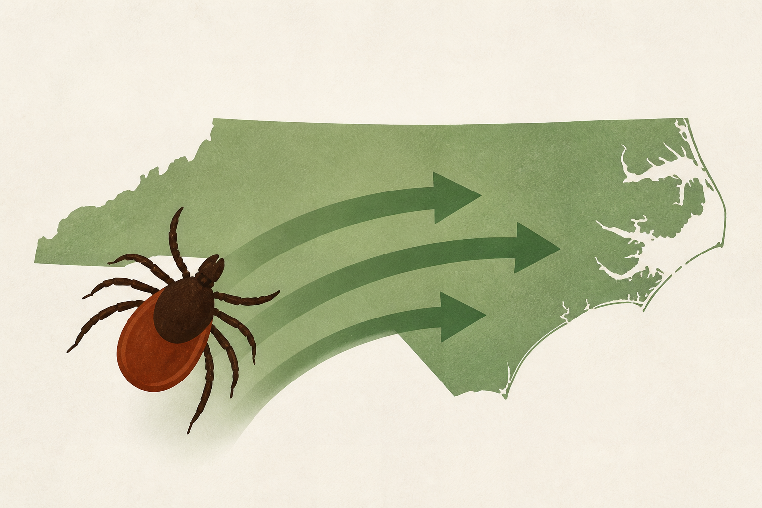 Ticks carrying Lyme disease are gaining ground in North Carolina, study finds