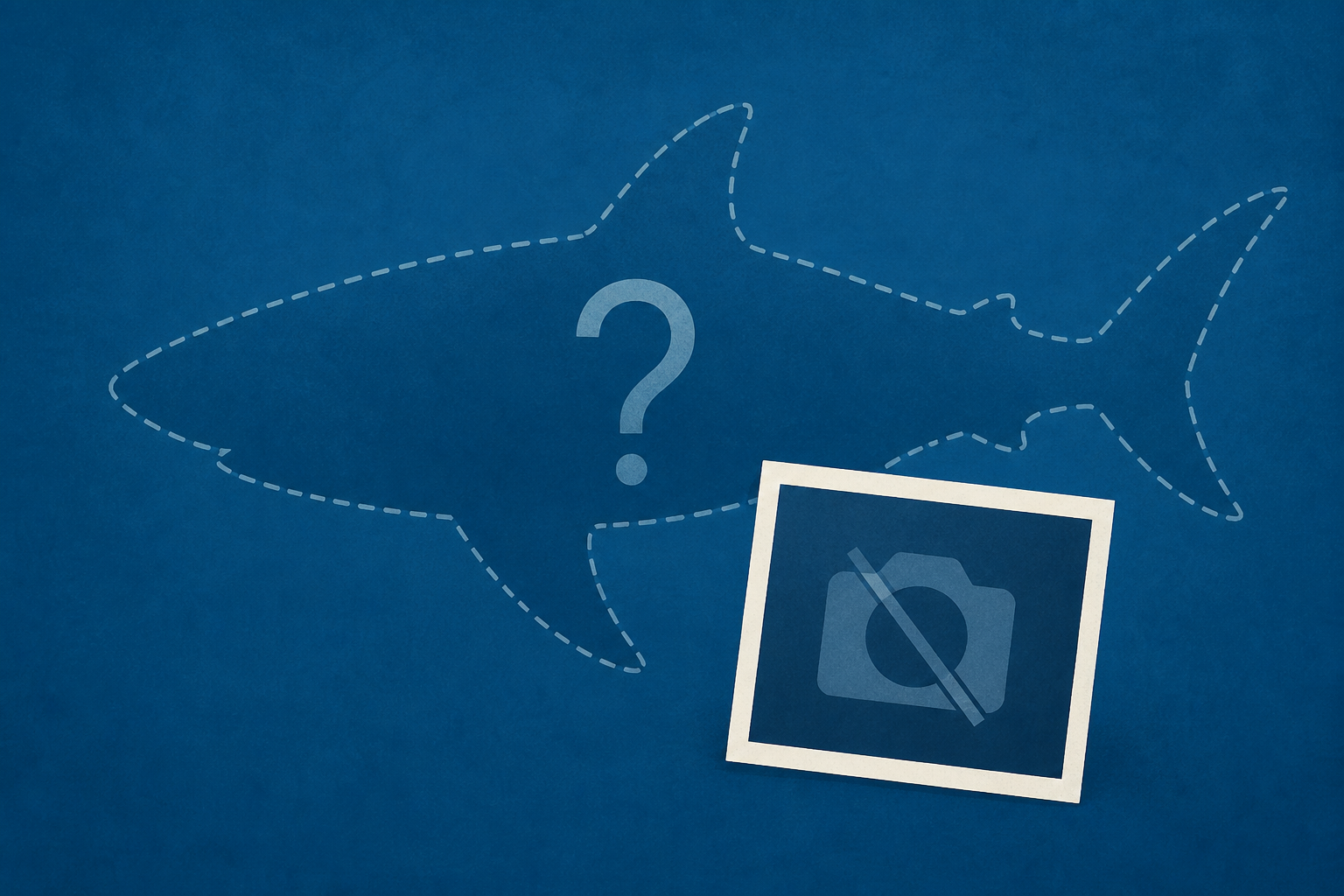 This Shark Is So Rare, There's Not a Photo of One Living