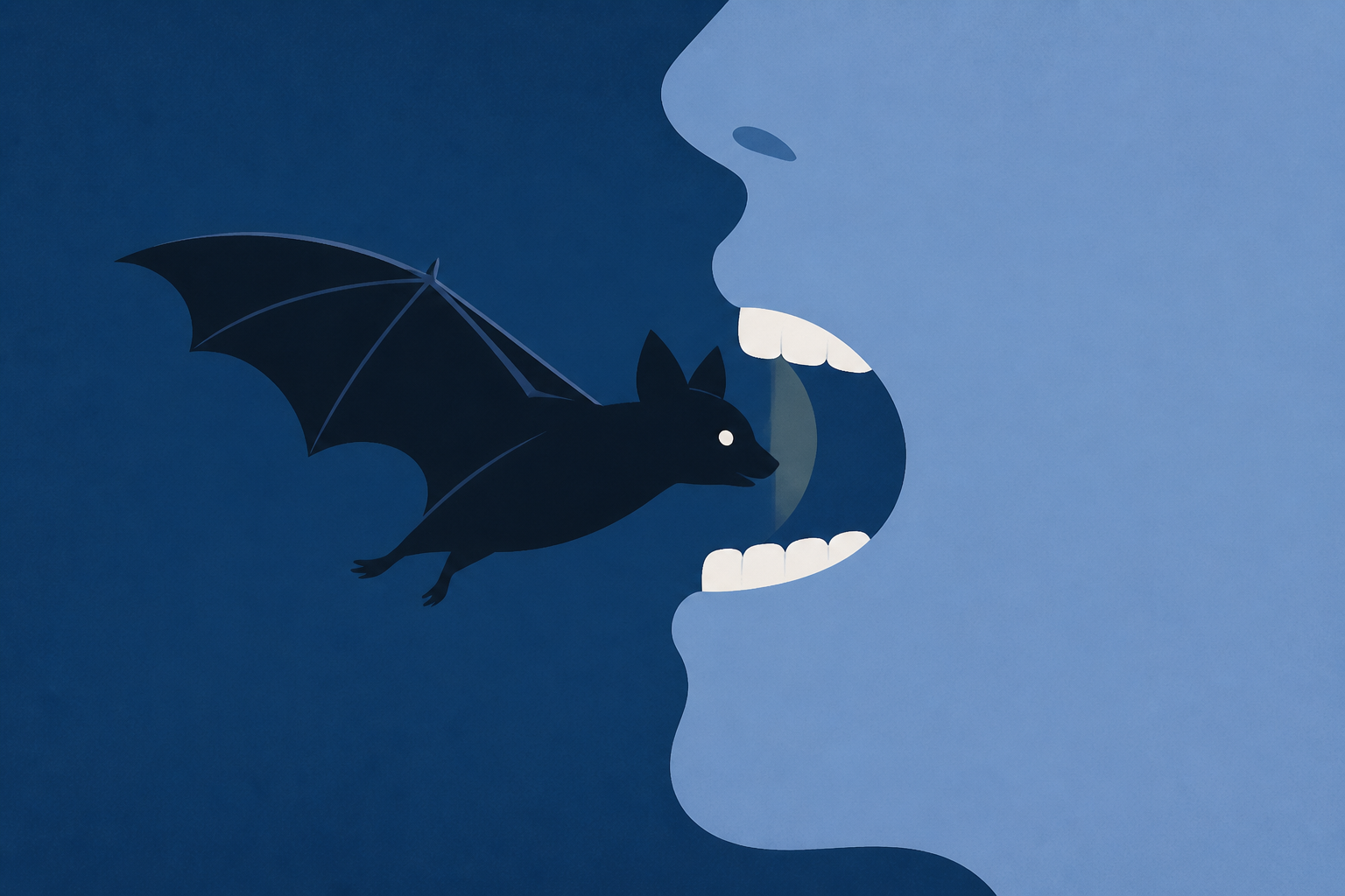 Richmond doctor wakes up to bat trying to crawl into her mouth: ‘This is real life’