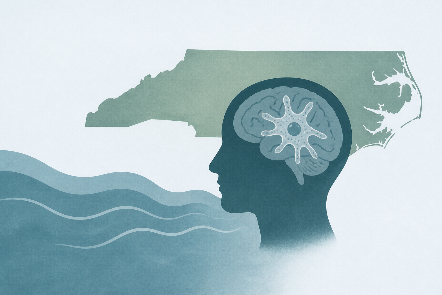 North Carolina teen dies after contracting rare brain-eating amoeba found in freshwater: Officials