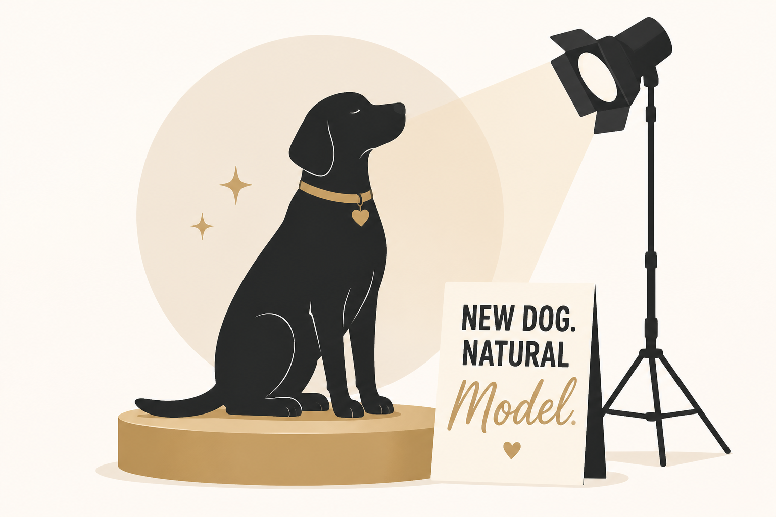 Meet Taylor Swift and Travis Kelce's new dog. She's already a model.