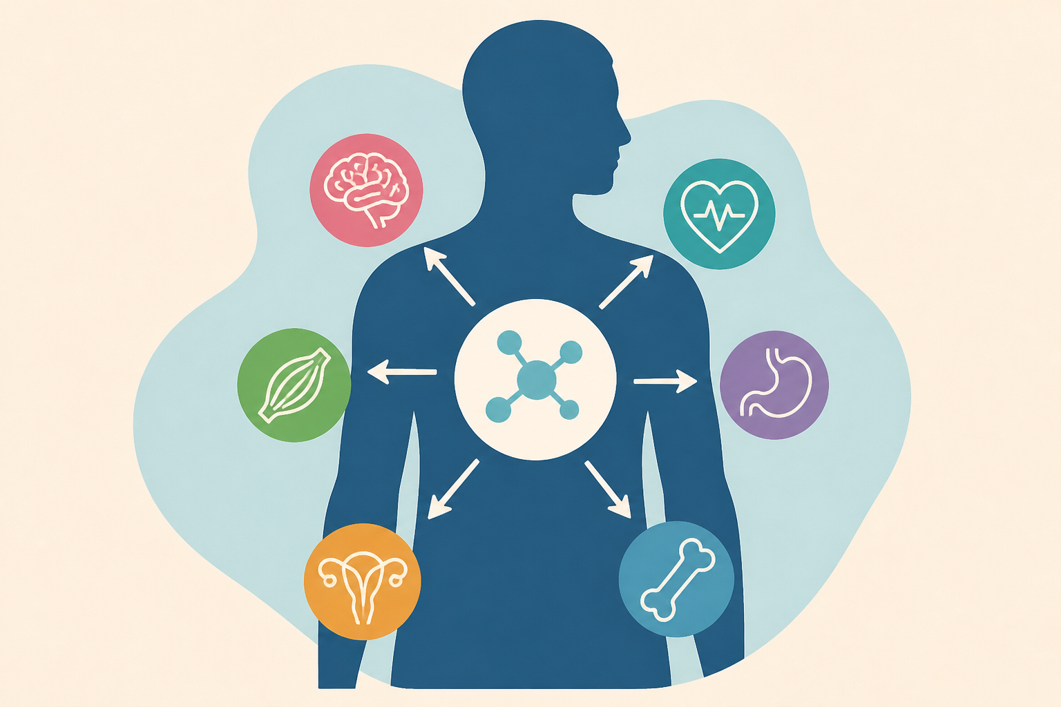 How do hormones impact your body?