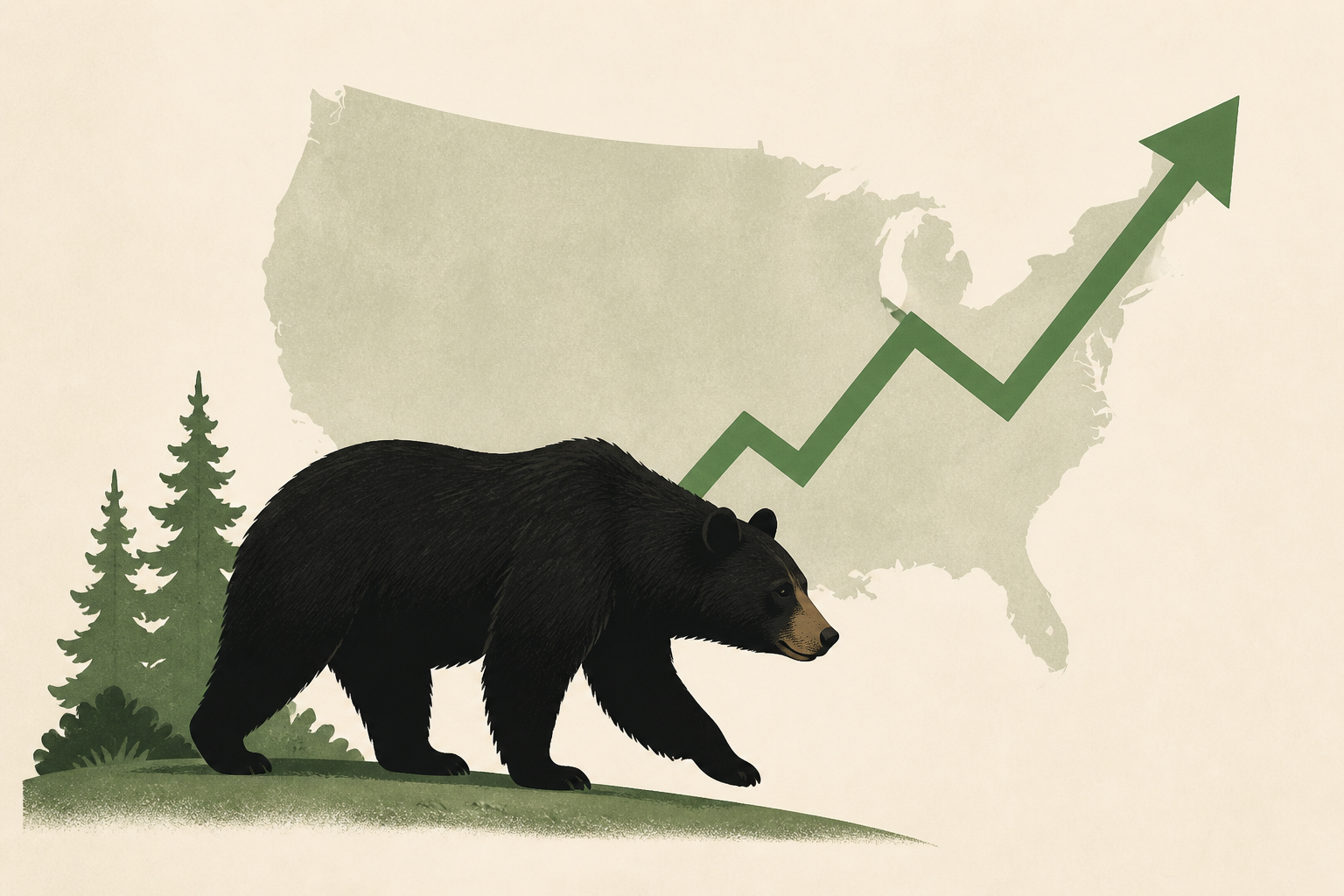 Why black bear sightings are increasing across the U.S. this year