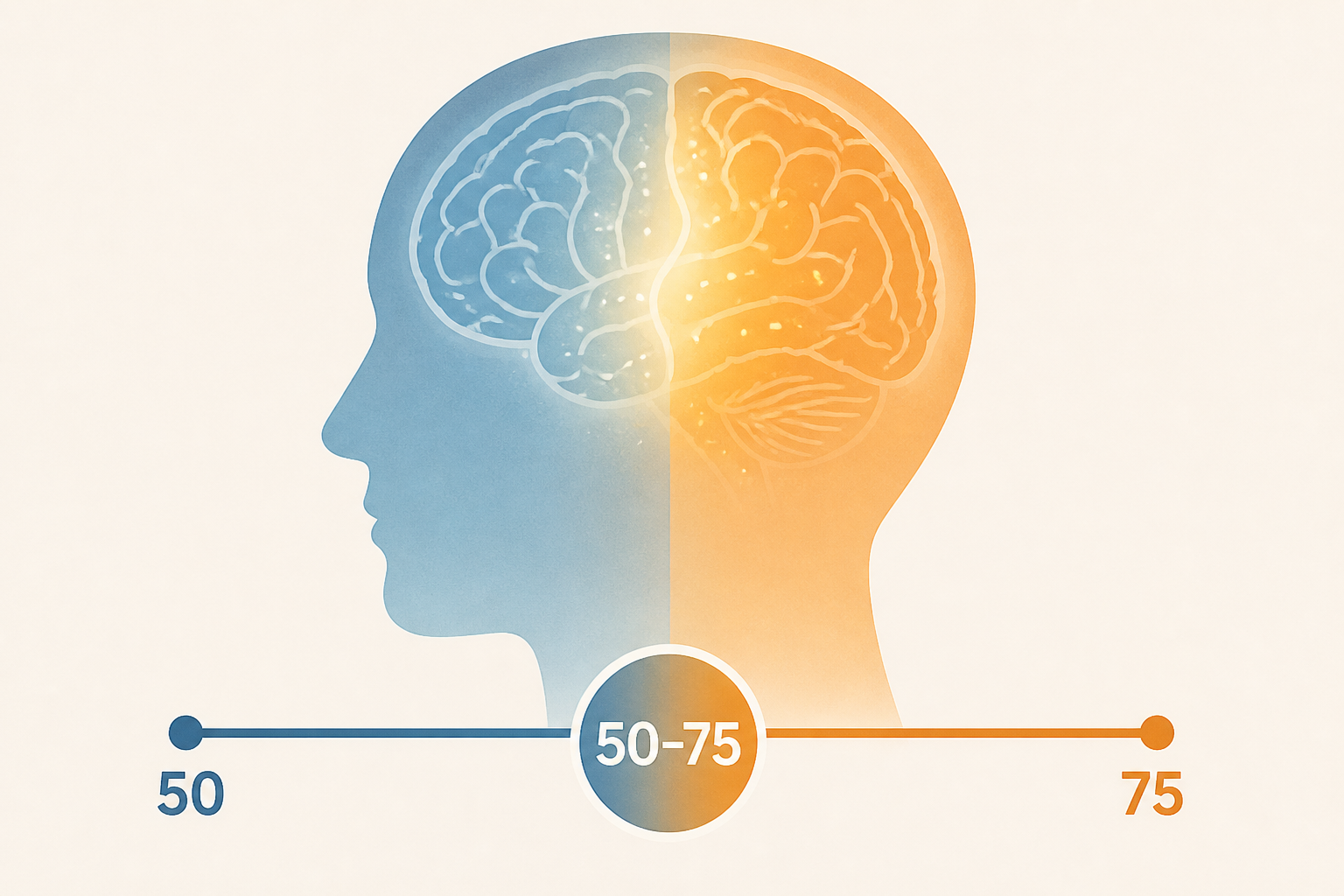 Scientists found the human brain undergoes a major biological shift between ages 50 and 75