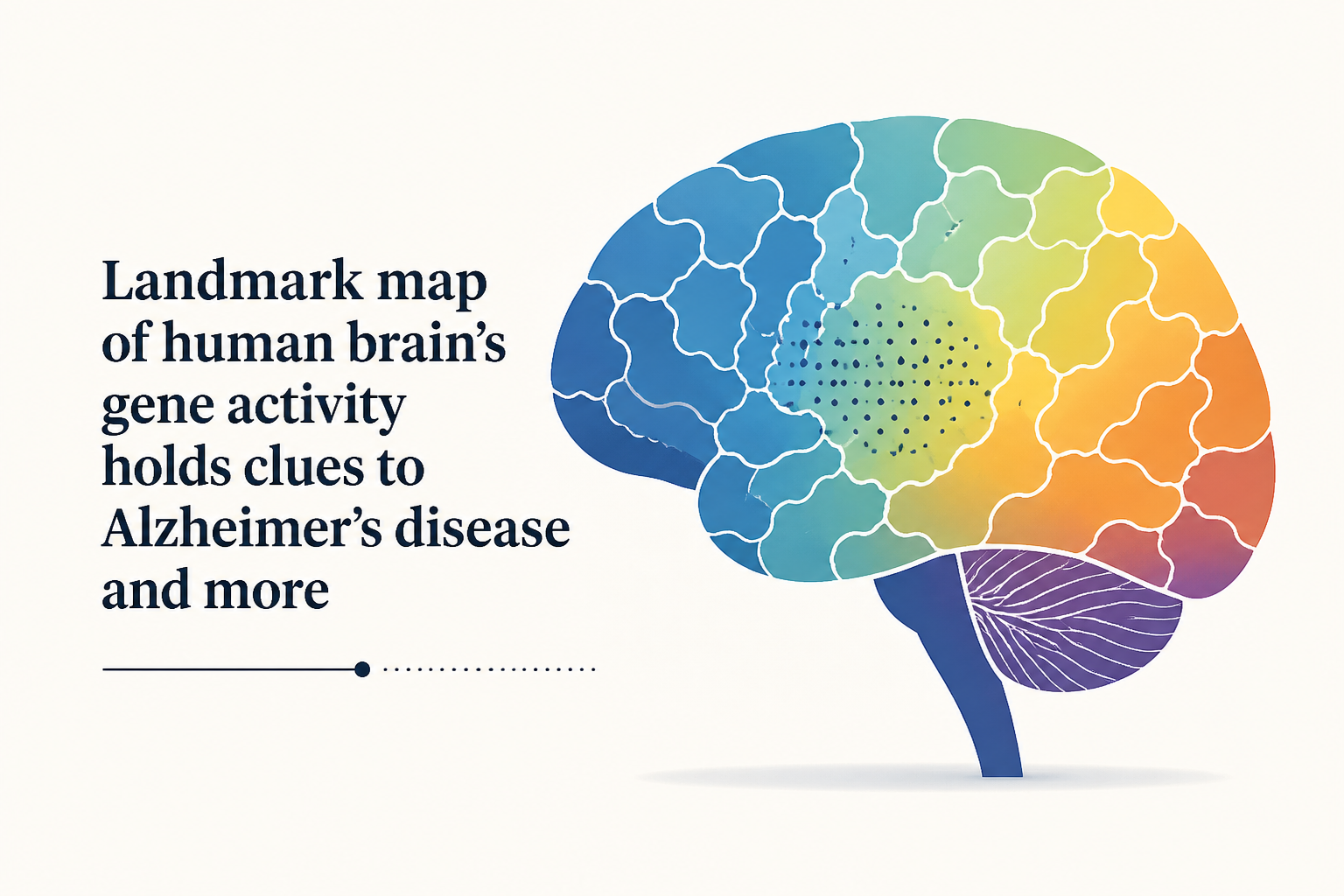 Landmark map of human brain’s gene activity holds clues to Alzheimer’s disease and more