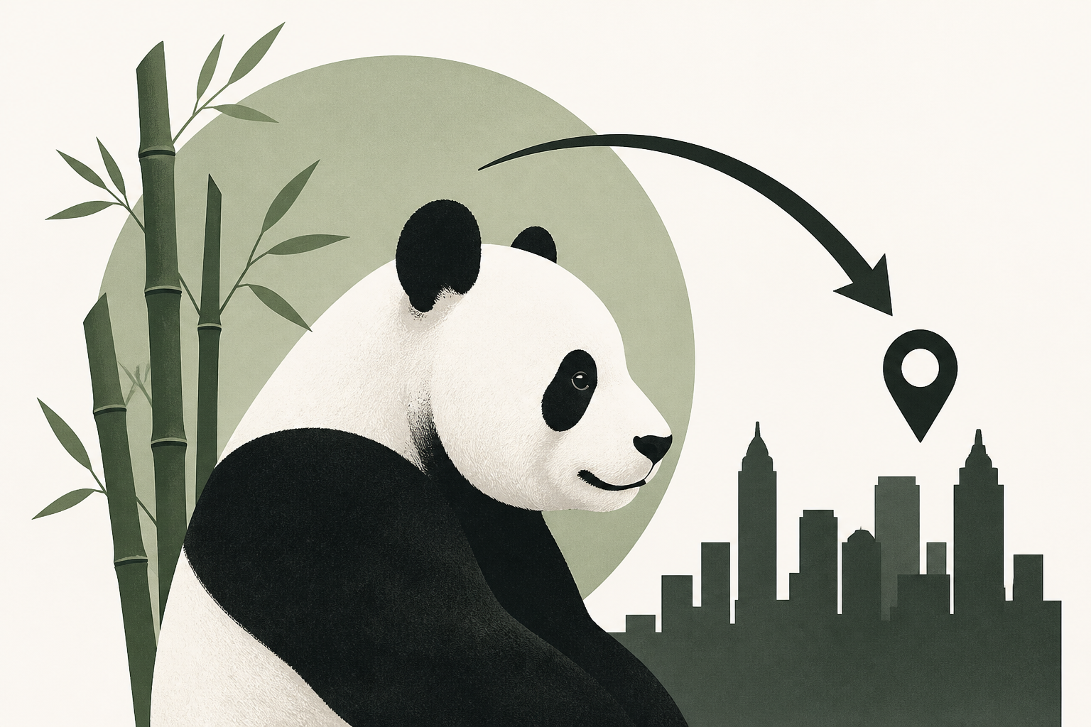 New giant pandas from China arrive in Atlanta zoo