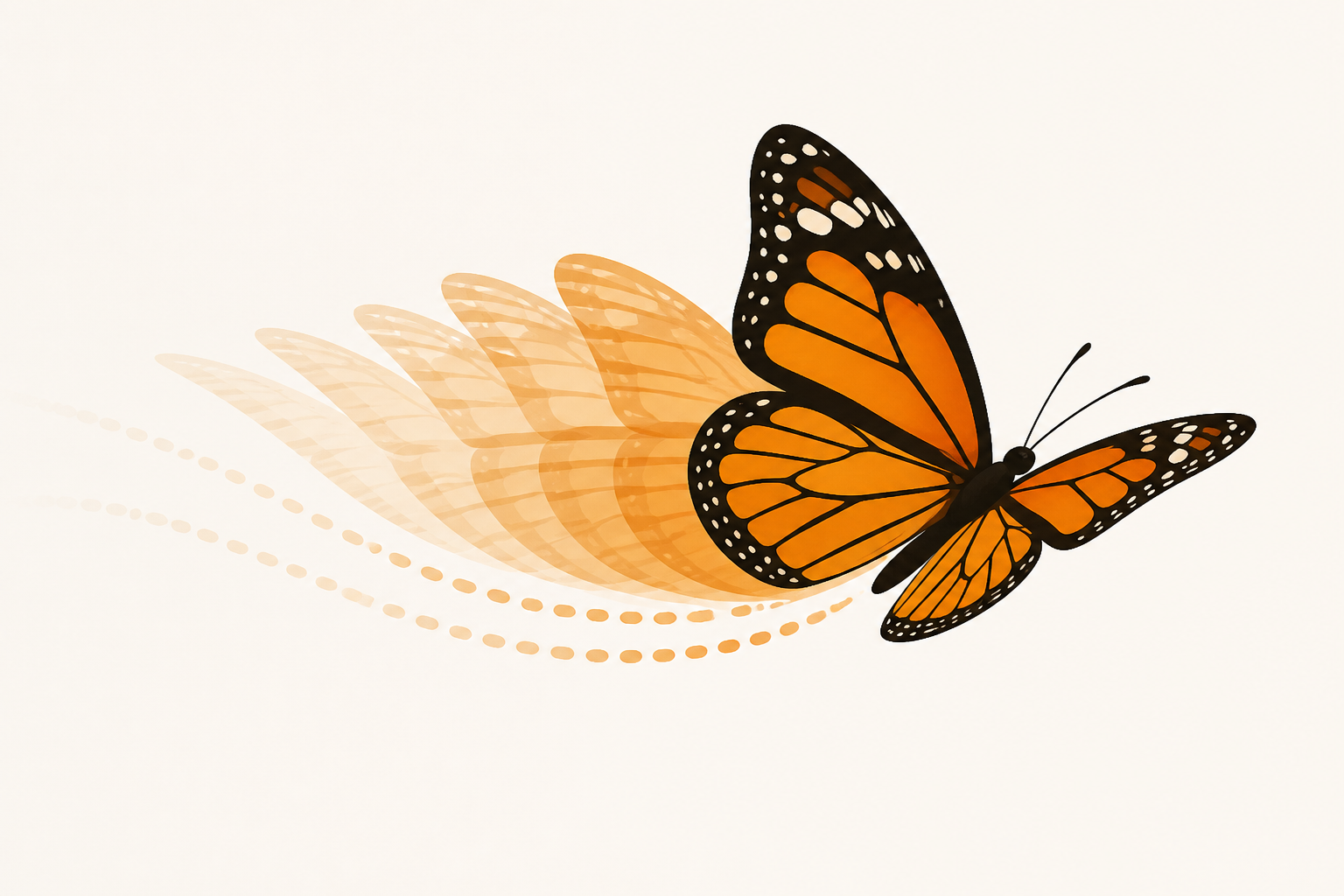 Butterfly wing patterns in flight create powerful illusory motion cues