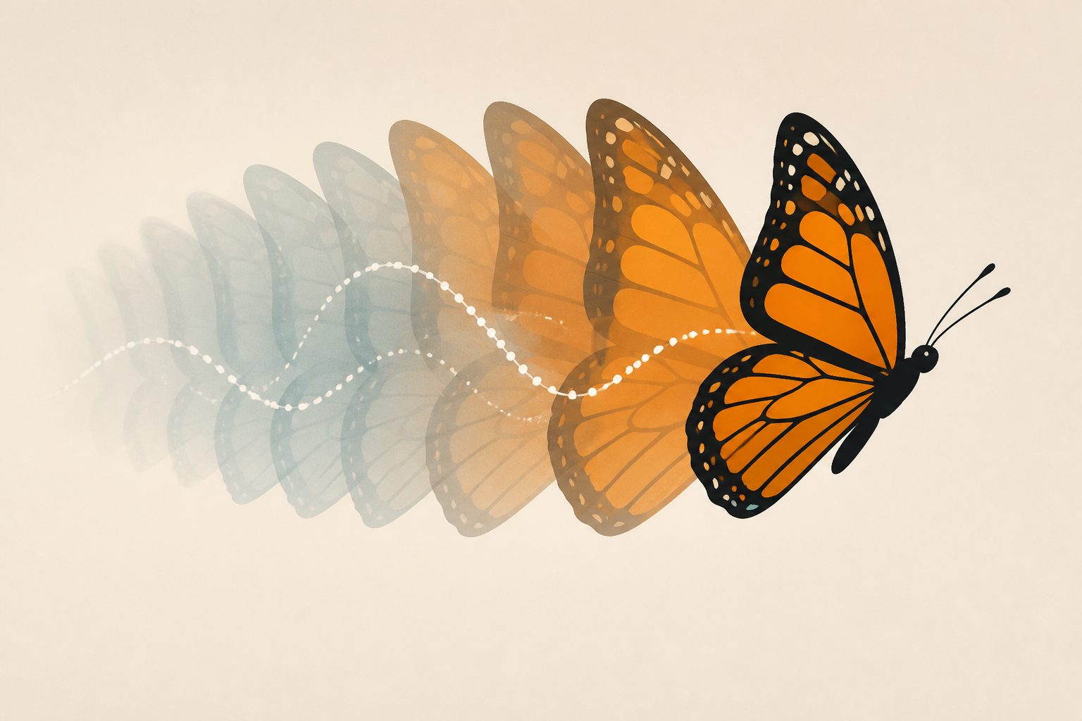 Butterfly wing patterns in flight create powerful illusory motion cues