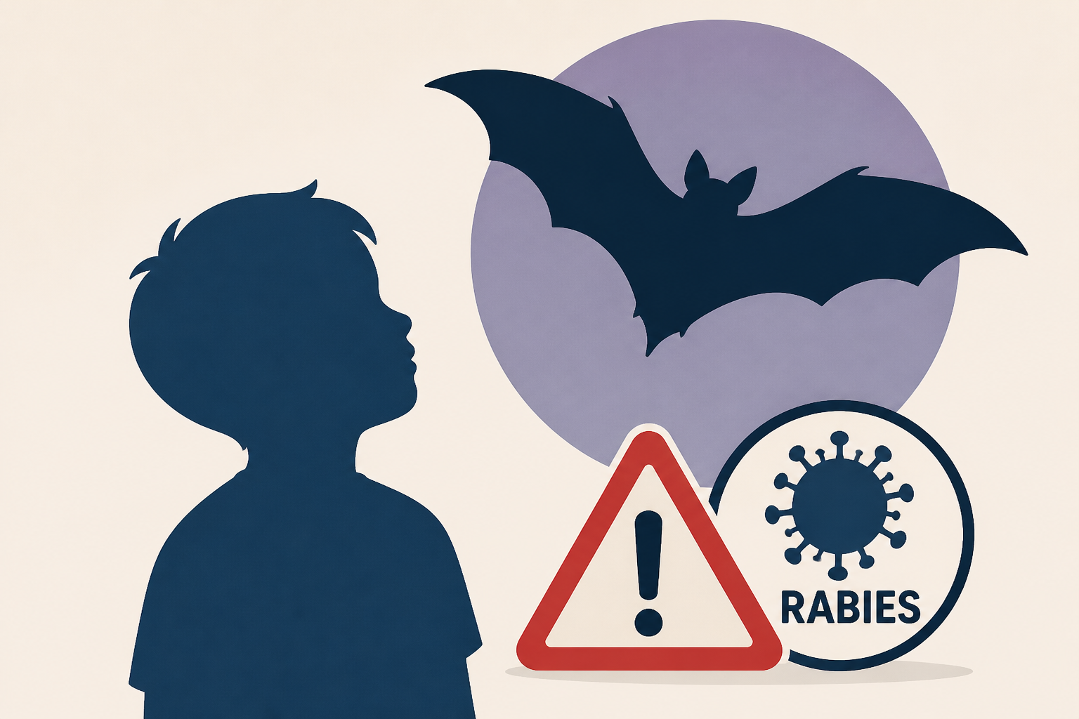 Yuba City child had contact with bat that tested positive for rabies, officials say