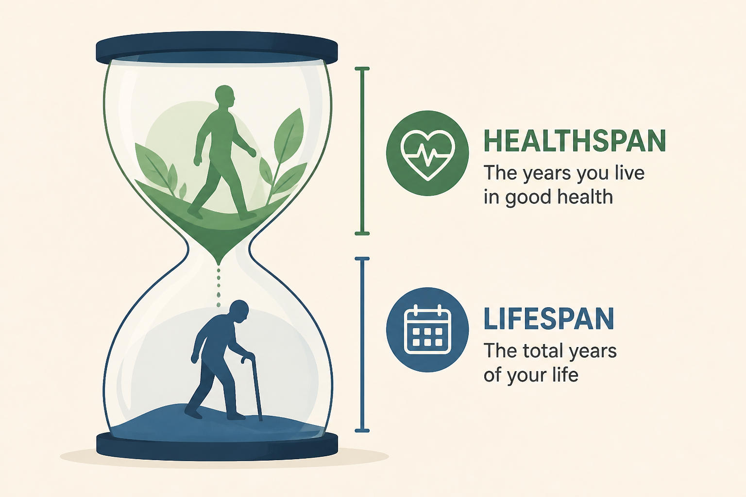 Doctors Explain The Difference Between Healthspan And Lifespan