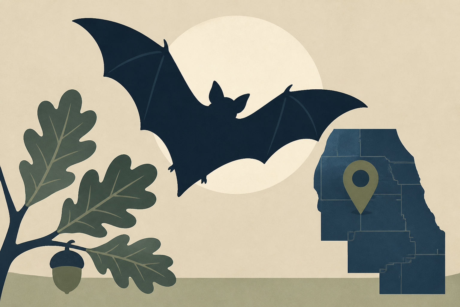 Third Rabid Bat Found In Oak Forest: Cook County