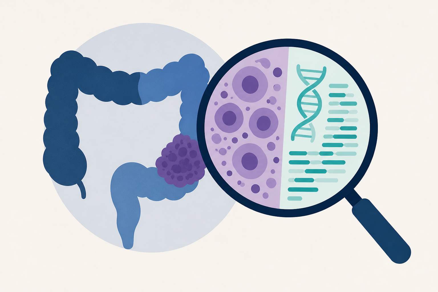 Colorectal cancer in younger patients shows distinct cellular and gene-activity patterns