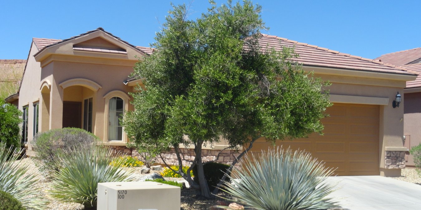 32392 Gorgeous, Well Maintained home is an absolute steal for the right buyer! This home definitely shows like a model home and it's the popular Daisy model. Bright, spacious living room with gorgeous upgraded diagonal tile. Huge kitchen area with beautiful granite countertops and cabintery. Large dining area, this is a dream kitchen!! With a super backyard, beautiful extended patio plus 5' fencing in the back yard is just one of the beautiful amenities this home has to offer! Large walk-in closet as well as a great master suite makes this superb home a great buy! Location is easy for a quick trip to the clubhouse/pool. **FURNITURE PACKAGE AVAILABLE OUTSIDE OF ESCROW** PERFECT retirement when you add miles of walking trails, indoor and outdoor swimming pools and spas, billiards, a work out facility with indoor walking track and much more. As a Sun City resident you will have preferred tee times and discounted golf. This beautiful development is nestled by the prestigious Conestoga Golf Course and some of the most desirable homes in Mesquite. Come for a day stay for a lifetime! DON'T MISS OUT ON THIS SPECTACULAR HOME!