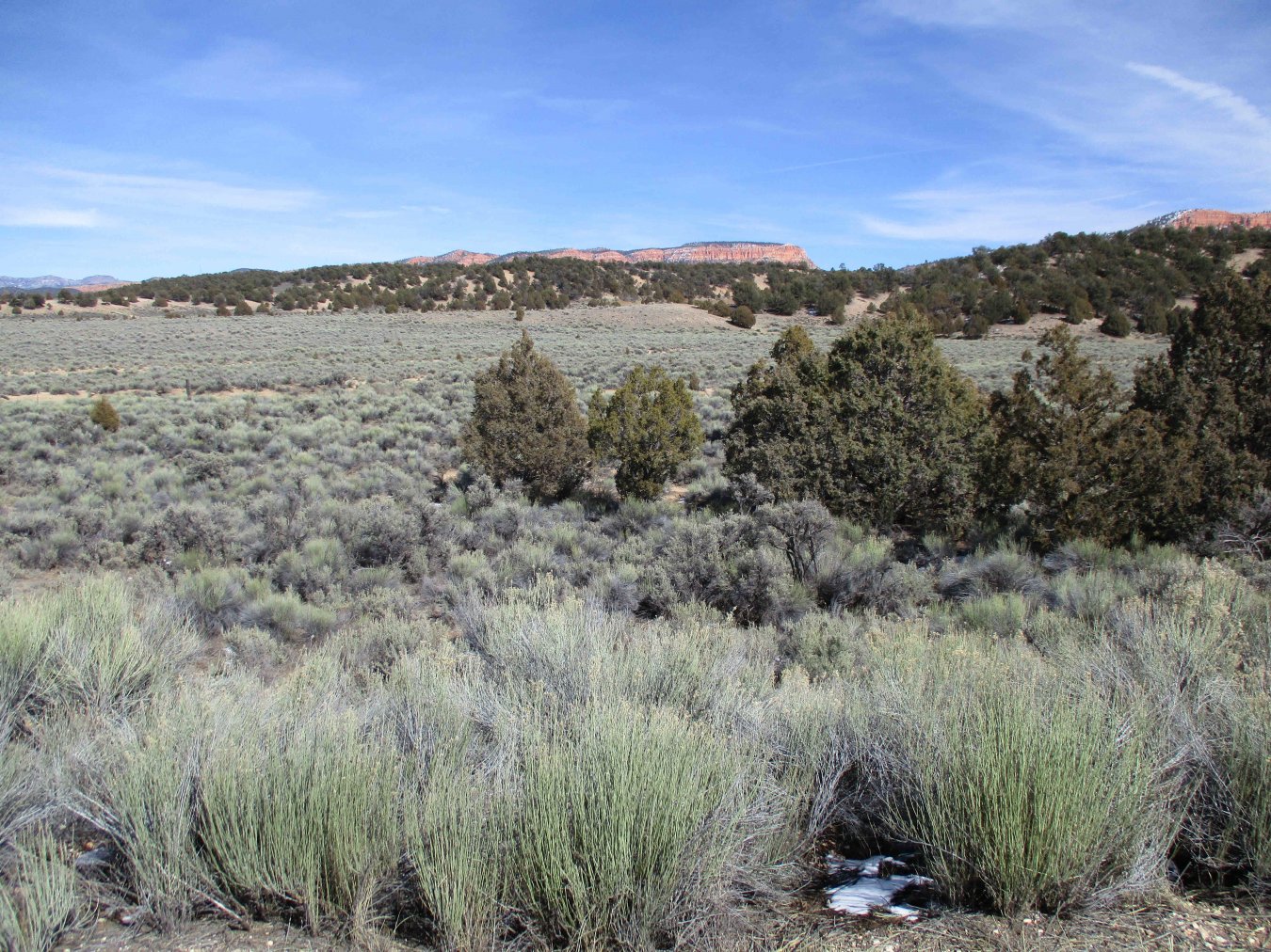 32543 Great price for a lot in Paunsaugunt Cliffs subdivision. All utilities are in the road. Buyer must put in their own septic tank. Beautiful views. Wild life and ATV trails everywhere. Close to Bryce and Zions National Parks.