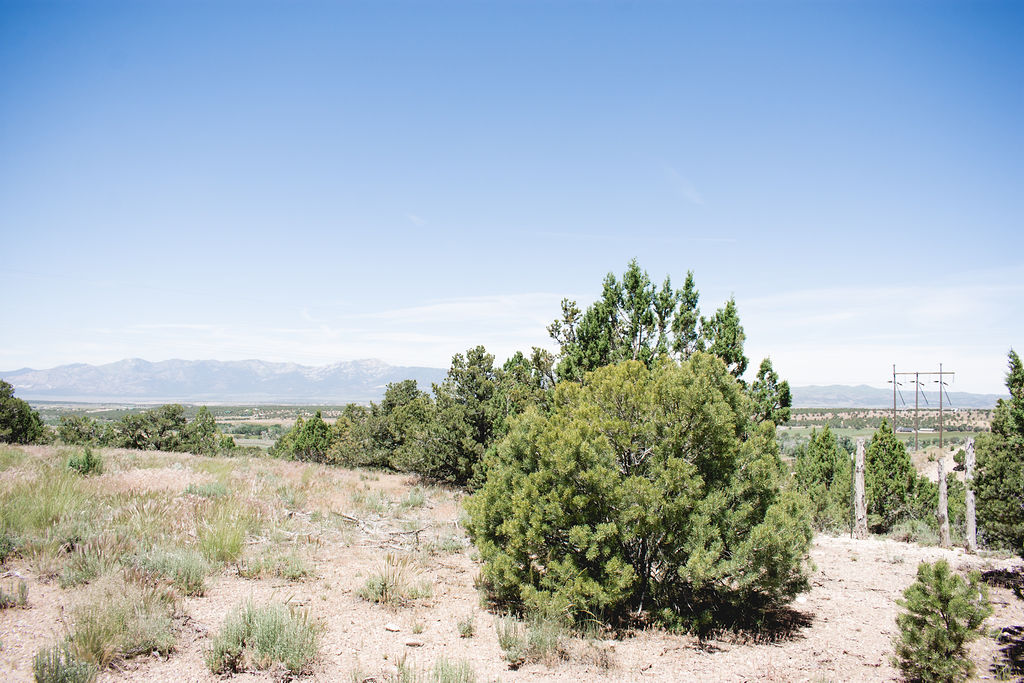 33879 A unique piece of property in the North Creek Ranches Subdivision. This lot is surrounded by BLM property. The views from this lot are exceptional, no other lot has this view! HOA is $180.00 per year. Lot has water & electricity.