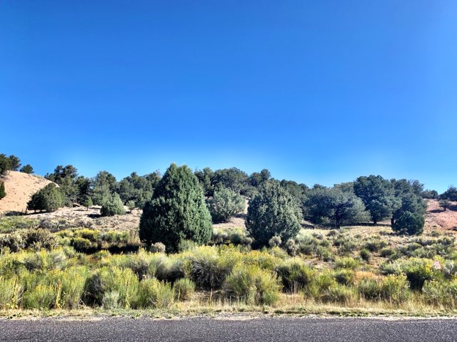 35691 Another great Lot in Paunsaugunt Cliffs Subdivision. Close to both Zions and Bryce Canyon National Parks. Miles of ATV trails. Great hunting and fishing area. Water, power and phone are in the road. Buyer to put in their septic tank.