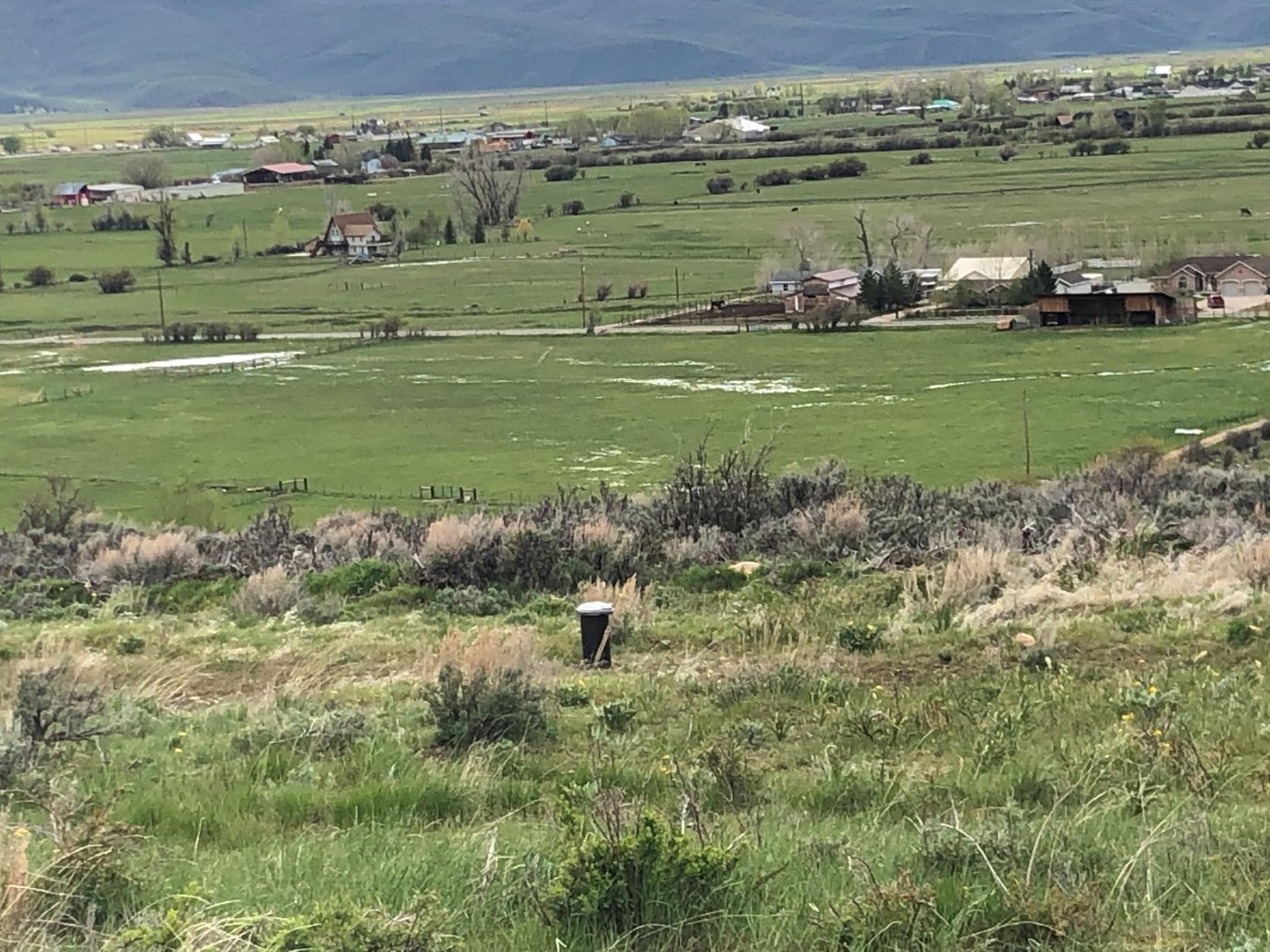 39779 Only 1 lot left well yields 110 GPM. Great Views, 10 Minutes from Park City, UTah. Shopping, schools, art, hiking, trails, restaurants. Trails; Horse Friendly; LAST LOT FOR SALE - large lots with larger homes/estates/ranches. Govern your life. Unobstructed. Illness of one owners' wife is reason for beautiful lot 1 sale. Call Abbie for details.
