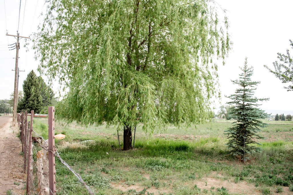 41154 A beautiful 2.2 acre piece of property with irrigation water and city water with city electricity in the street. This lot can also be divided into quarter acre lots. Beautiful views close to ATV trails, a 3 mile walking path, close to the golf course, rodeo grounds and Eagle Point ski resort. Tons of opportunities or a beautiful home lot with pasture for your horses.