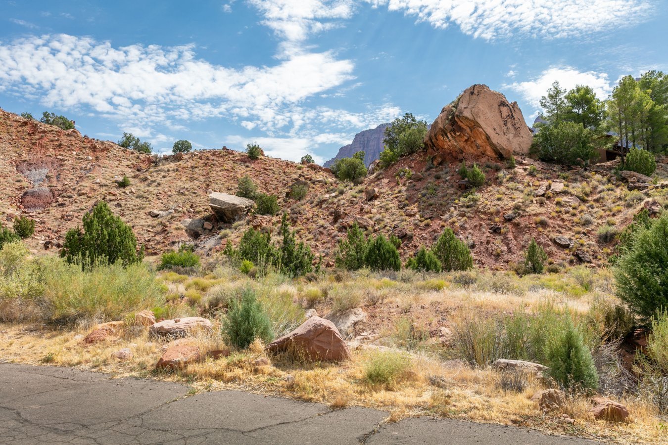 41860 Fabulous Larger Building Lot in Springdale! Quiet subdivision to build your new home in. Walk to town to go shopping or get a world class dinner at one of the many restaurants! Grab a shuttle and escape to the Park for the day. Come home and relax in your beautiful home with large windows to take in the picturesque scenery of all the canyon has to offer! Adjacent lot is for sale. Get both for a larger building lot and more elbow space for that new vegetable garden or added privacy. Call agent for more information on this great lot or for a showing.