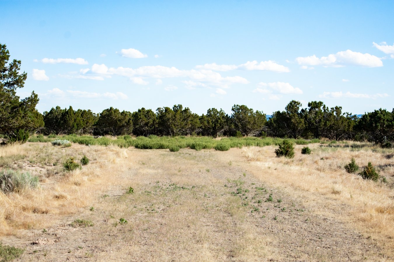 43264 This property is in a virtually undiscovered subdivision. Please call the agent for details.