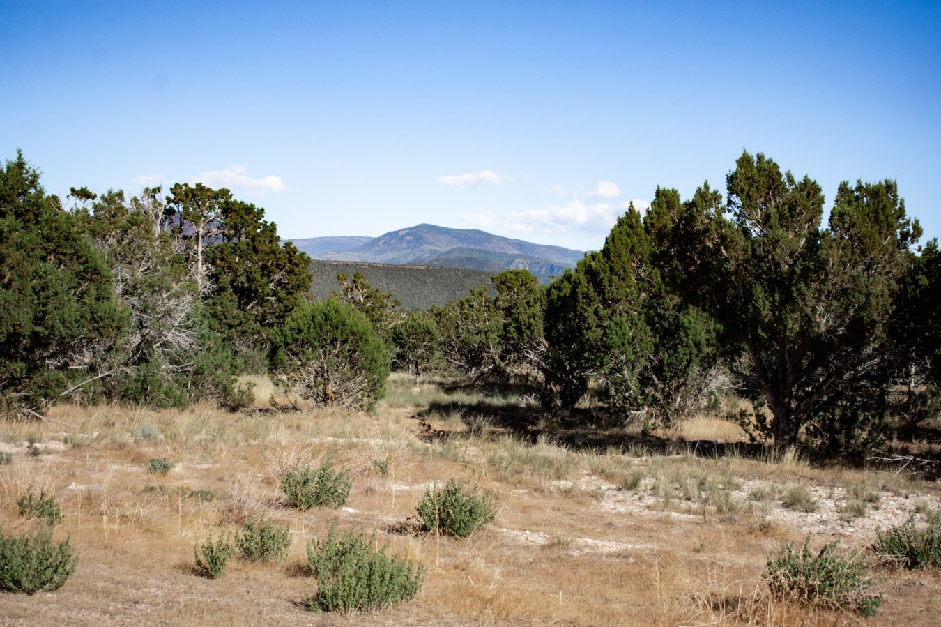 43442 Amazing lot in Juniper Heights Subdivision, with 1 acre foot of underground water included. 5.09 in secluded, beautiful location.