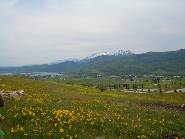 Build your dream home in Eden! You will not find a better lot. This property has a gentle, builder-friendly slope at the end of a quiet cut-de-sac located near the top of the Highlands at Wolf Creek. This property is nestled up to a greenbelt space to maintain the natural beauty of the surroundings. Enjoy breathtaking valley views, gorgeous mountain ranges, three ski resorts, Wolf Creek's 18-hole golf course and endless activities found at Pineview Reservoir - a true paradise for any outdoor enthusiast!