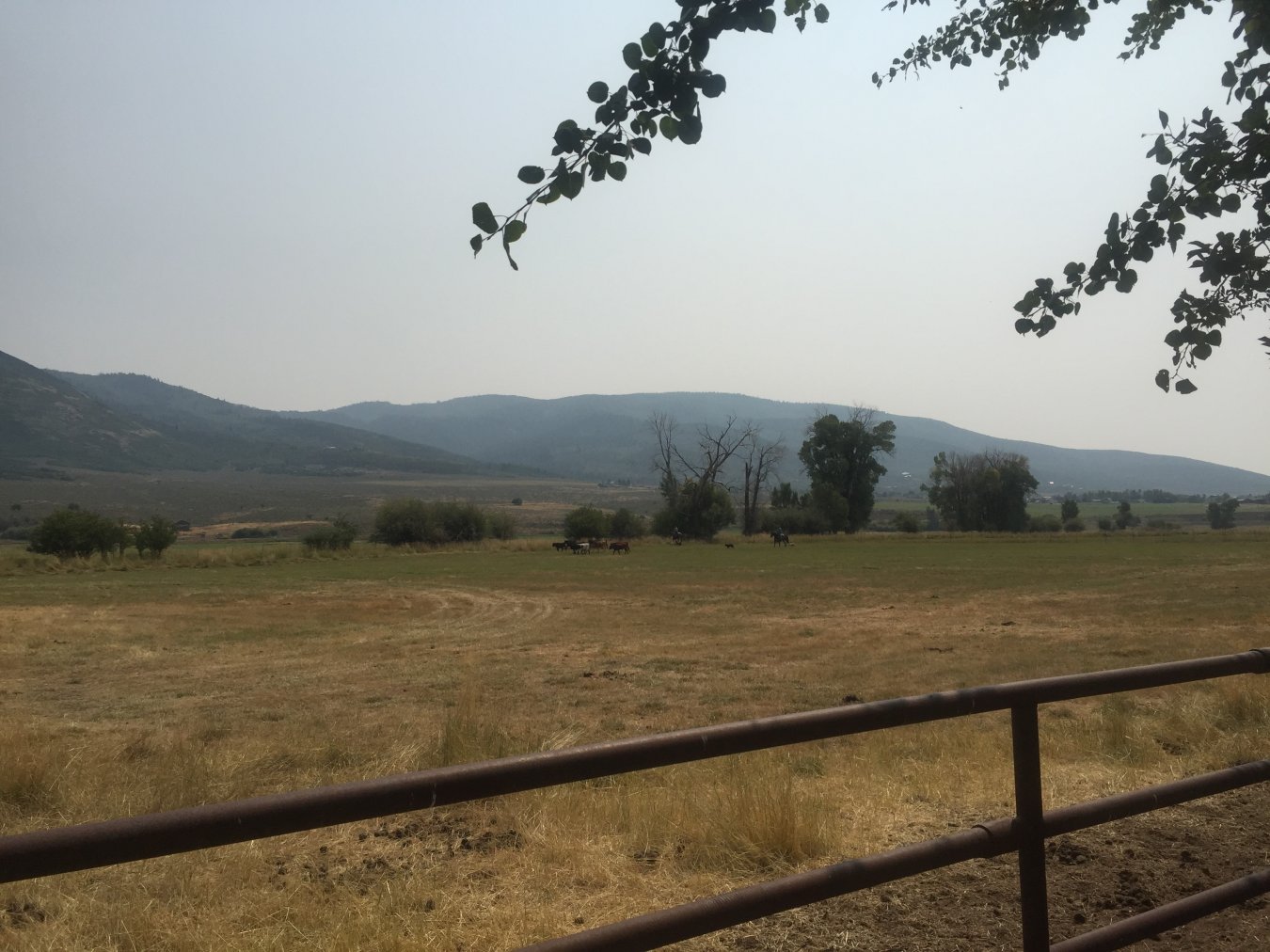 45273 HAVE IT ALL! 5 MINUTES TO KAMAS; 12 MINUTES TO PARK CITY. 15.75 ac fully fenced view land AND 20 shares Boulderville Ditch Irrigation Water. Part of Whispering Meadows Subdivision. Seller is Utah Real Estate Broker. Call for details.