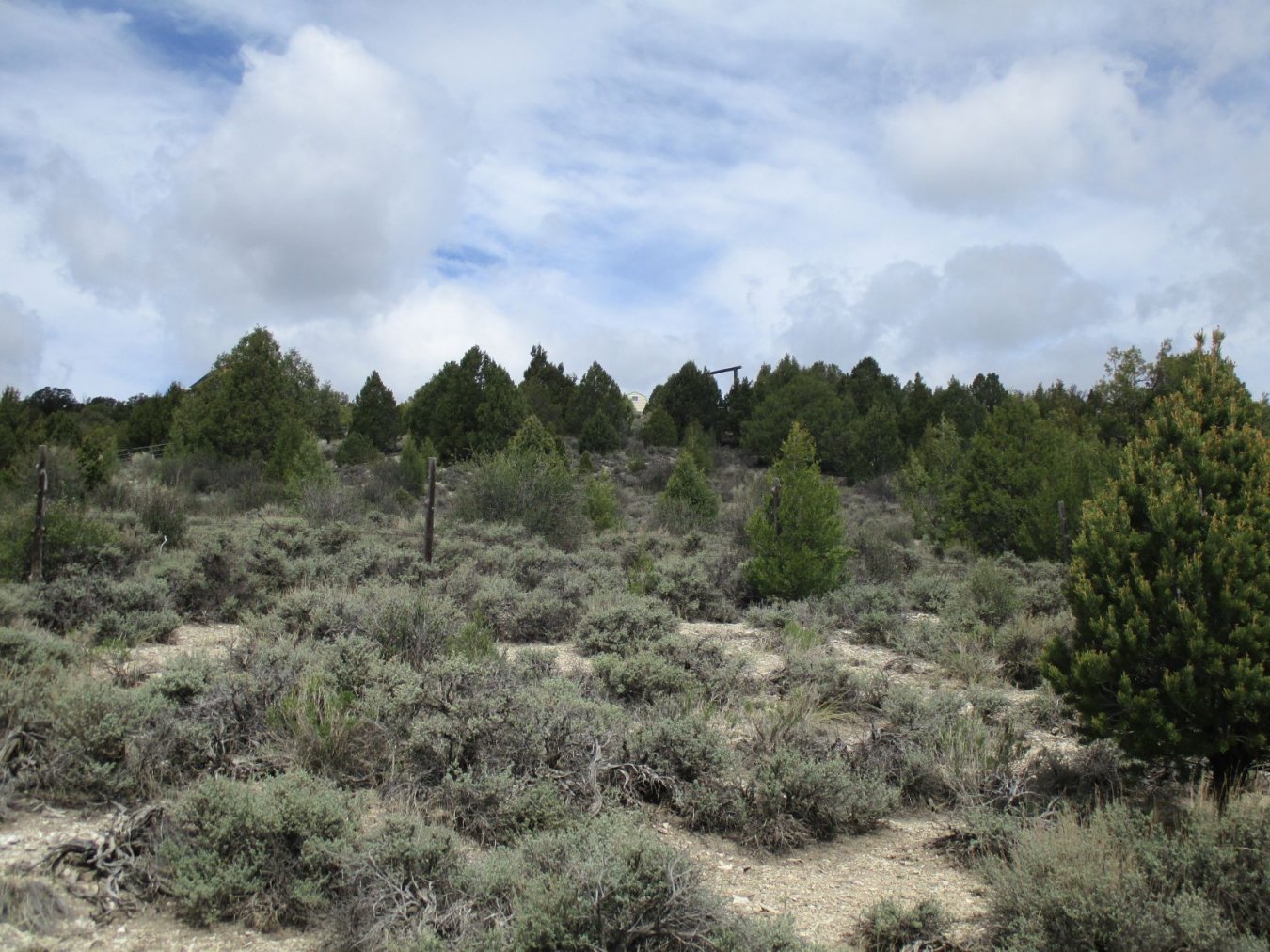 1550 W Pinyon Hills Rd