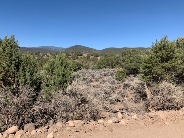 49688 A 5.07 acre piece of property that has Juniper & Pinon trees and located out of town! Peaceful setting, great views. No water or utilities which makes this lot affordable. Lots of 4 wheeler roads, wildlife viewing and a perfect get away place.