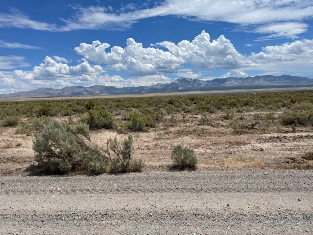 The possibilities are endless for this 160 acre parcel of land priced at only $1,000. per acre! Fronts county road, Power poles & fiber optic line on property, near railroad spur, and great unobstructed mountain views are all part of this great deal!