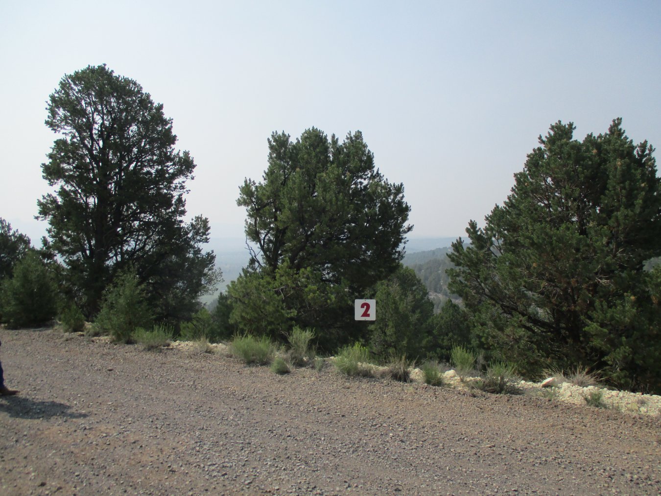 1715 W Pinyon Hills Rd #2