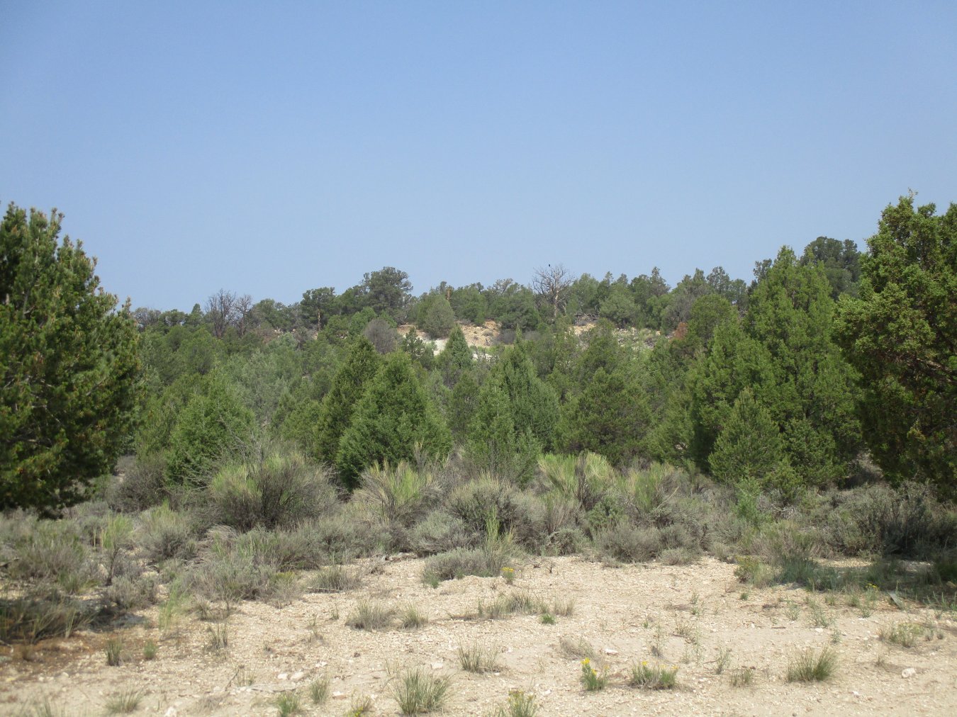 1615 W Pinyon Hills Rd Lot 1
