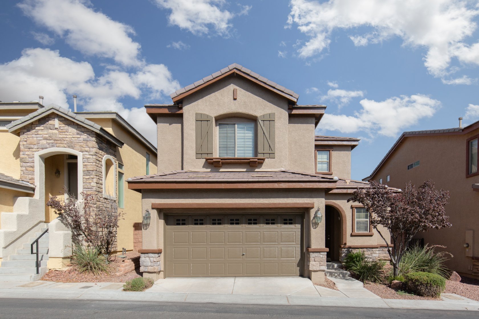  10420 Scotch Elm